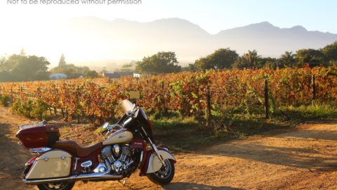 SX2A3849 2000px 2015 Indian Roadmaster at Grand Roche, Paarl, South Africa; copyright Christopher P Baker