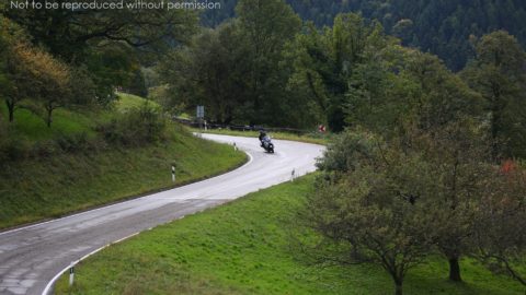 SX2A4050 Tour member on a BMW R1200GT in the Black Forest, Germa, on Edelweiss Bike Travel ‘Best of Europe’ tour; copyright Christopher P Baker